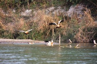 IMG_6776