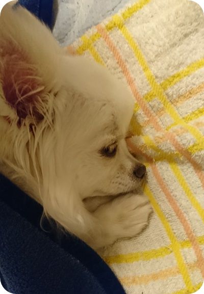 こころ847