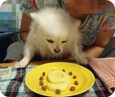 こころ1510