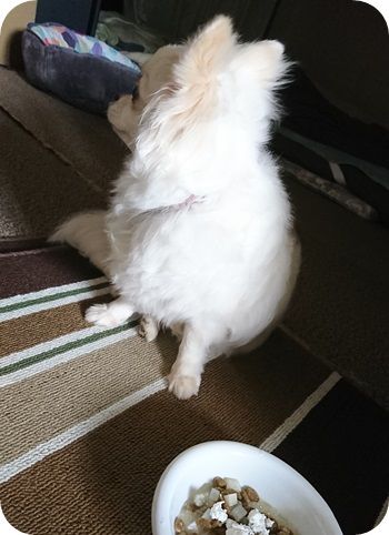 こころ571