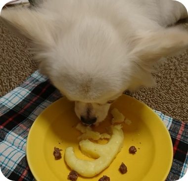 こころ1514