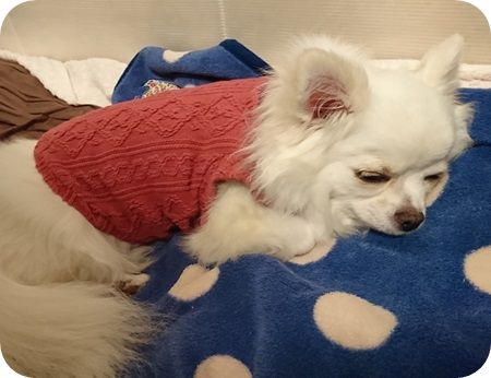 こころ849