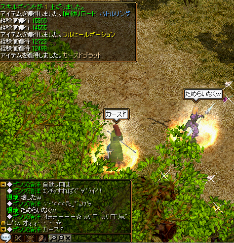 森