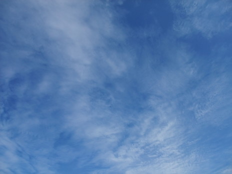 2009_11200011