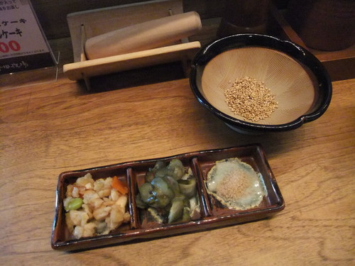 2009_12310022