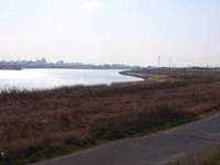 kinokawa2
