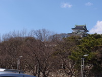 画像 001
