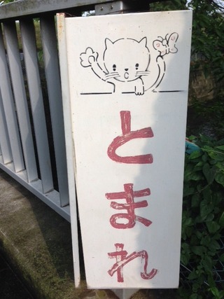 写真 2