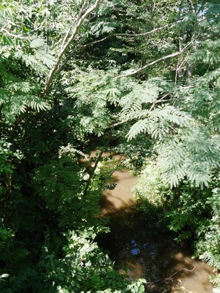 P2240993