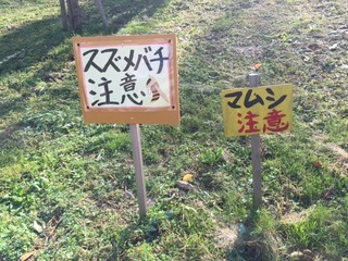 asobi2