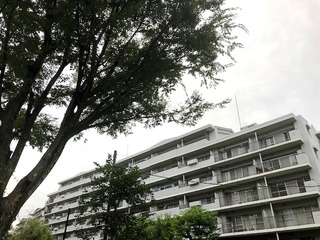 IMG_4020