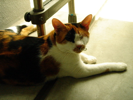 DSC09903