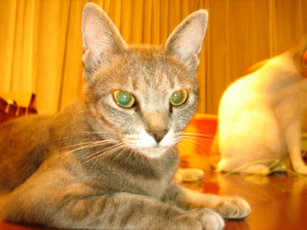 DSC09915