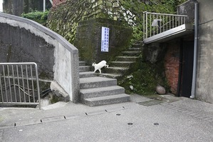 IMG_2593
