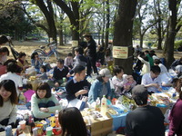 IMGP0026