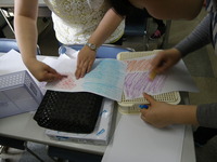 IMGP0416