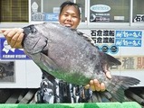 イシダイ