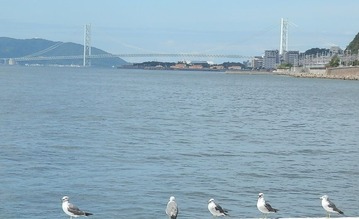 P8134585加工