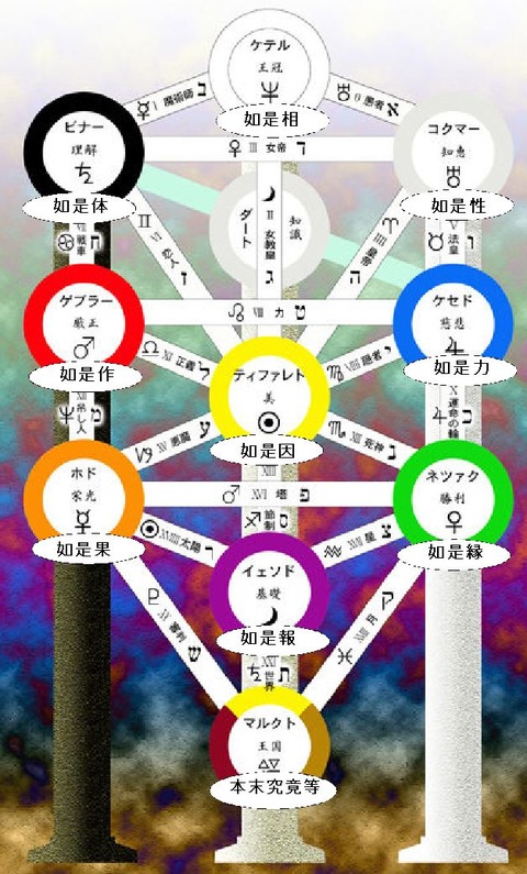 生命の樹と十如昰
