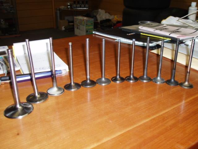 11021221_1539403942987544_6146405254674402134_n