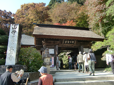 CIMG3529
