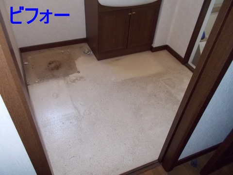DSCN0141