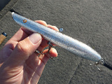 ̾ºî¤Ç¤Ã¤»¡ªCotton Cordell Pencil Popper