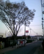 c96f3d81.jpg
