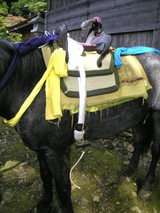 和鞍　馬具　龍 和鞍 馬具 龍 やぼったい