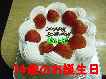 2010_0806マイピクチャ0028