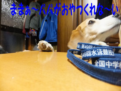 DSCF0358