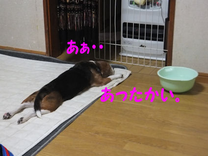 DSCF4311