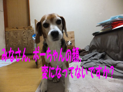 DSCF0185