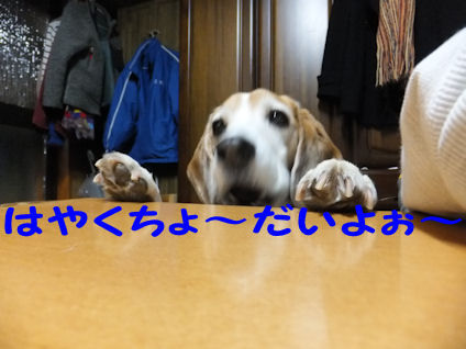 DSCF0359