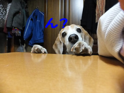 DSCF0360