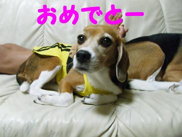 2010_0806マイピクチャ0046