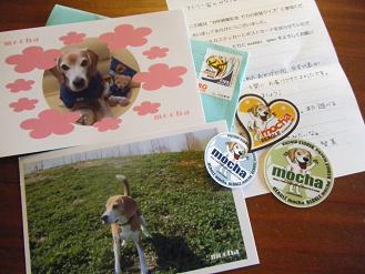 2010_0618マイピクチャ0003
