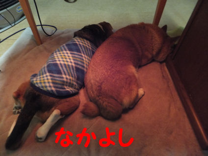 DSCF4309