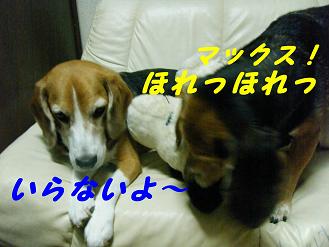 2010_0618マイピクチャ0090