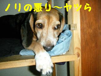 2010_0618マイピクチャ0021