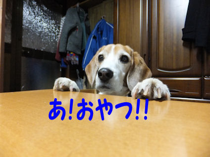DSCF0338