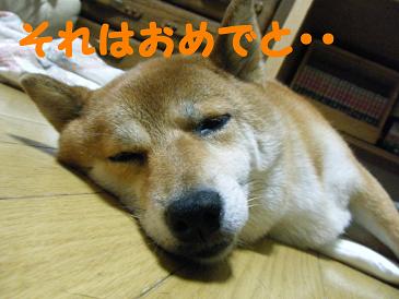 2010_0806マイピクチャ0054