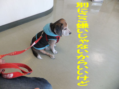 DSCF4369