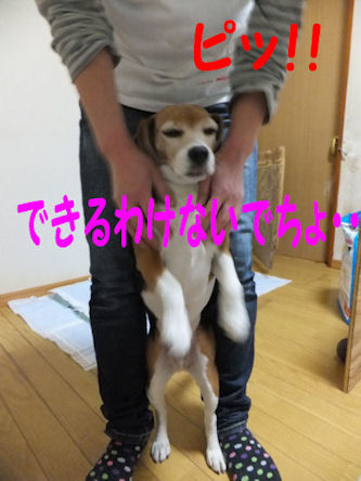 DSCF0171