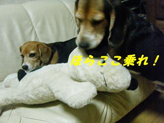 2010_0618マイピクチャ0089