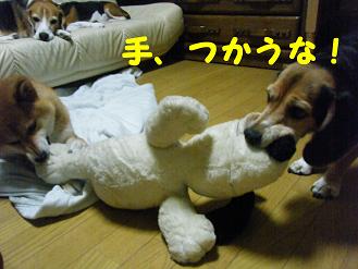 2010_0618マイピクチャ0127