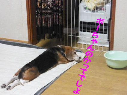 DSCF4314