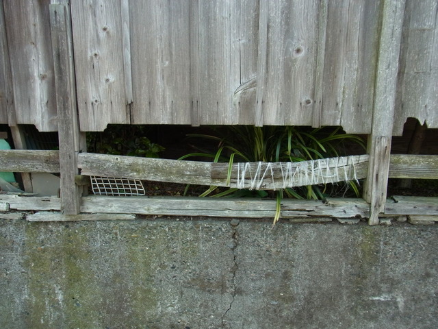 RIMG0028