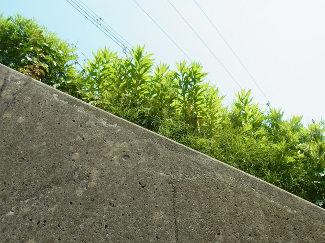 RIMG0023