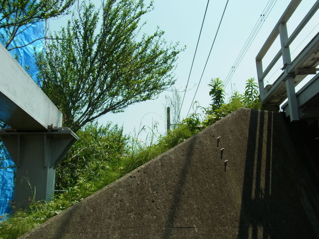 RIMG0022